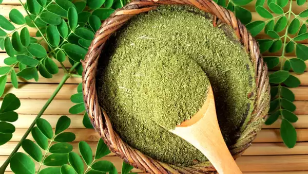 Why Moringa Should Be Part of Your Daily Health Routine? 7 Why Moringa Should Be Part of Your Daily Health Routine?