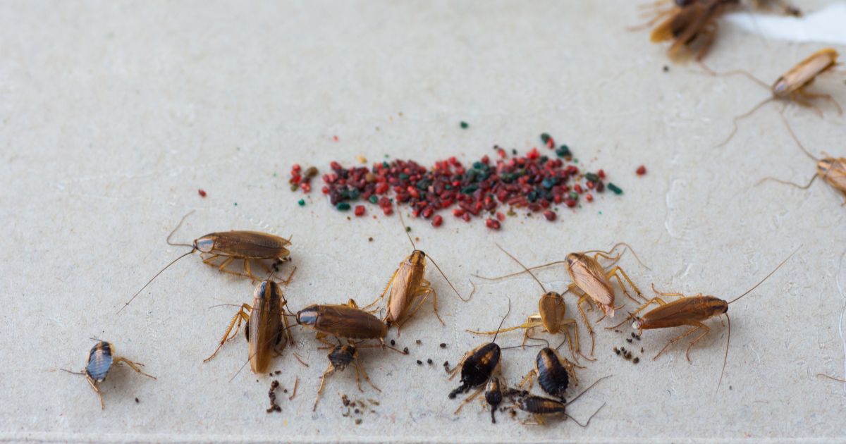 applebeeeshappyhour 1