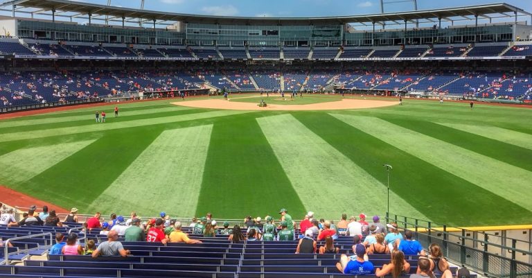 Tips for Choosing the Perfect Suite for Your Next Baseball Game 6 Tips for Choosing the Perfect Suite for Your Next Baseball Game