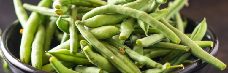 Applications of Guar Gum in the Oil and Gas Industry 10 Applications of Guar Gum in the Oil and Gas Industry