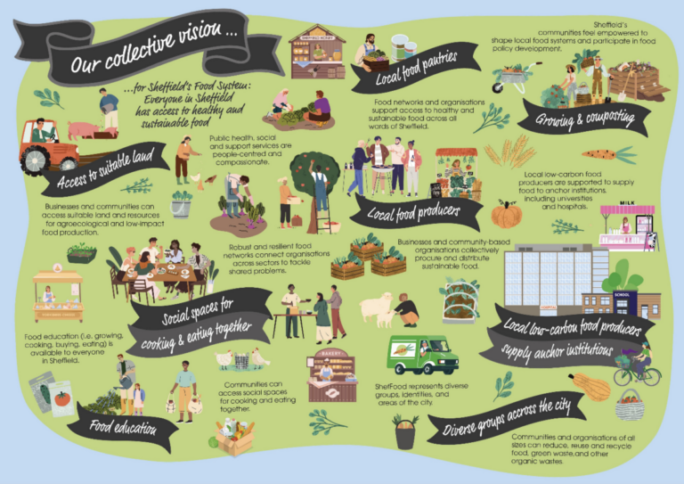 Why Organized Food Collection Programs Improve Local Support Systems?